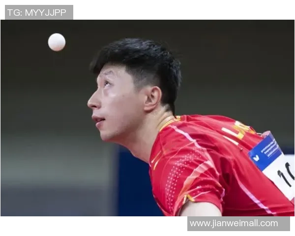 南京乒乓球队运营揭秘：从训练到赛事的全方位深度解析